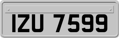 IZU7599