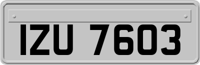 IZU7603