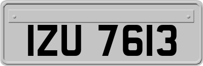 IZU7613
