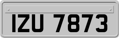 IZU7873