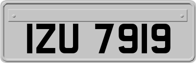 IZU7919
