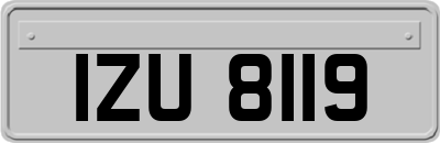 IZU8119