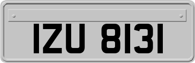 IZU8131