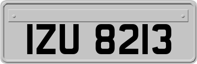 IZU8213