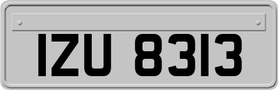 IZU8313