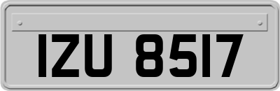 IZU8517