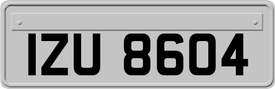 IZU8604