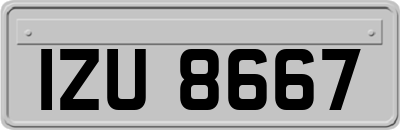 IZU8667