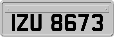 IZU8673