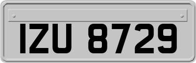 IZU8729