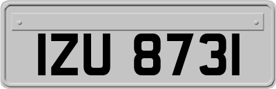 IZU8731