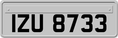 IZU8733