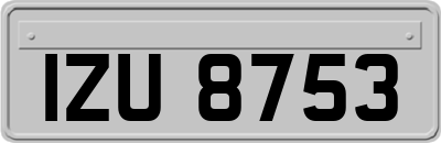 IZU8753