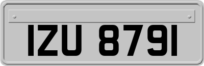 IZU8791