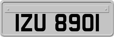 IZU8901