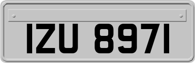 IZU8971