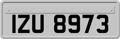 IZU8973