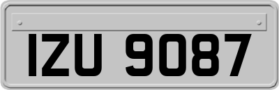 IZU9087