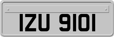 IZU9101