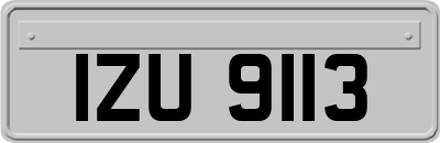 IZU9113