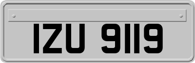 IZU9119
