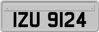 IZU9124