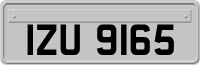 IZU9165