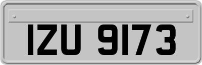 IZU9173