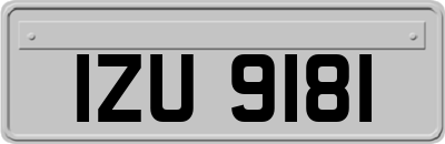 IZU9181