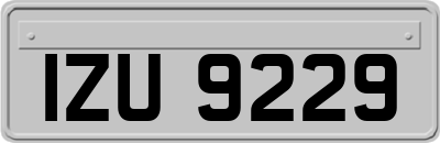 IZU9229