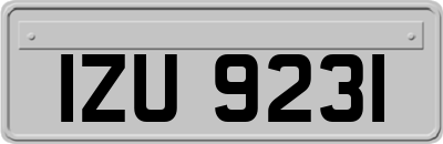 IZU9231