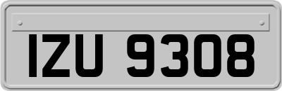 IZU9308