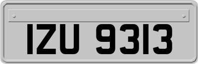 IZU9313