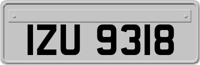 IZU9318