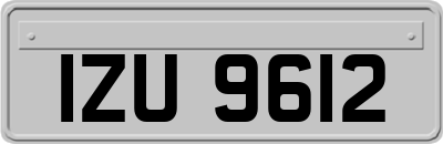 IZU9612