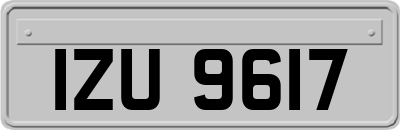 IZU9617