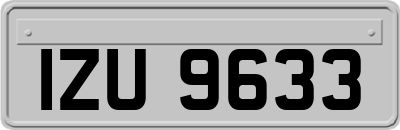IZU9633