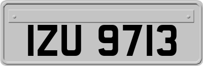IZU9713