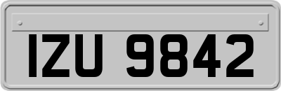 IZU9842