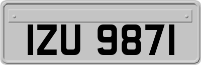 IZU9871