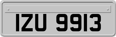 IZU9913