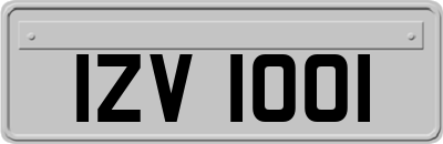 IZV1001