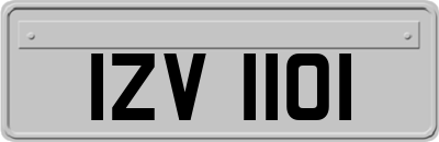 IZV1101