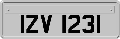 IZV1231