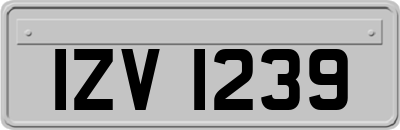 IZV1239