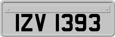 IZV1393