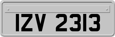 IZV2313