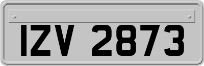 IZV2873