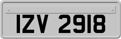 IZV2918