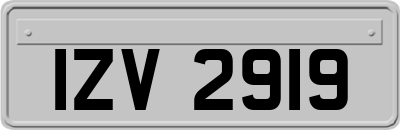 IZV2919